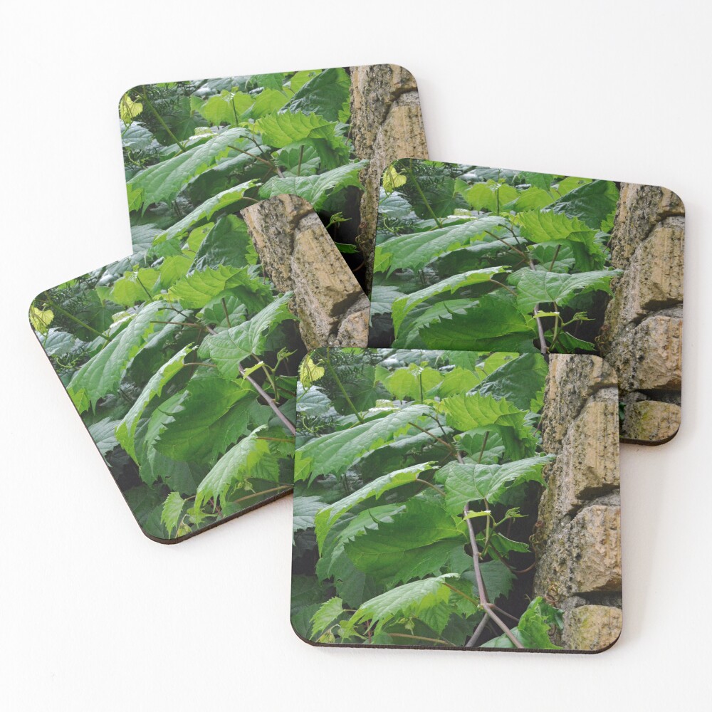Item preview, Coasters (Set of 4) designed and sold by RabbitHole13.