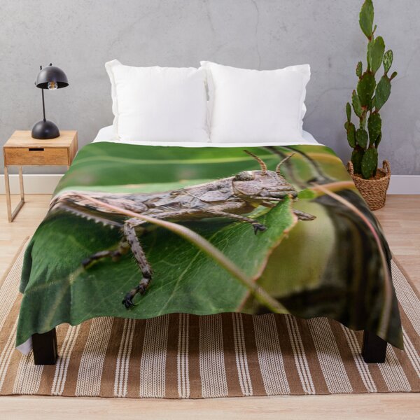 Item preview, Yam Yam. Common Mountain Grasshopper designed and sold by Jouko Lehto Photography.
