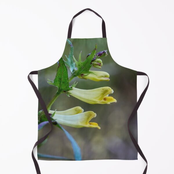 Item preview, Shout quietly. Common cow-wheat designed and sold by Jouko Lehto Photography.