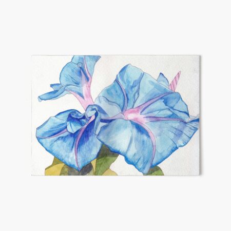 Item preview, Blue Bindweed (morning glory) watercolour painting designed and sold by esvb.