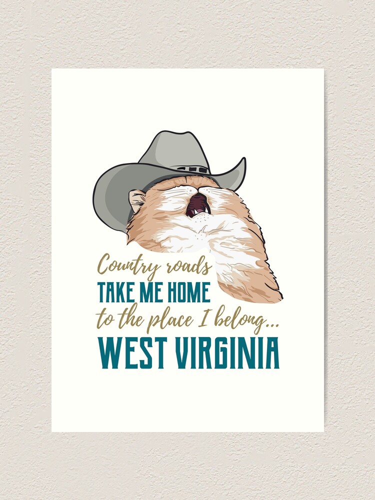 "Cowboy country cat screamsinging meme" Art Print for Sale by MamSelle