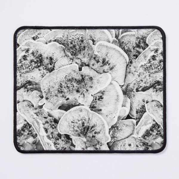 Item preview, mushroom group, giant mushroom, giant polypore in black and white designed and sold by Ingo Gerlach.
