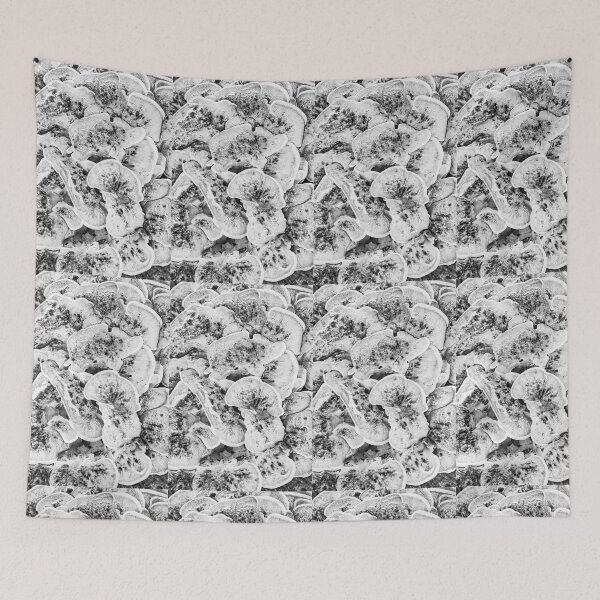 Item preview, mushroom group, giant mushroom, giant polypore in black and white designed and sold by Ingo Gerlach.