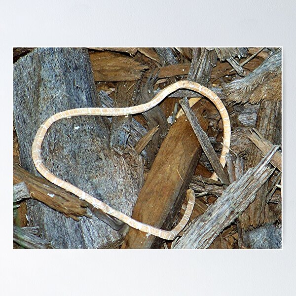 Item preview, A Broken Heart designed and sold by Glenna Walker.