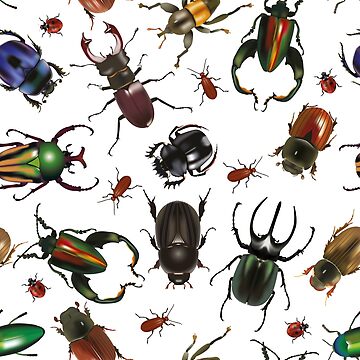 "Many Bug Design Items-Critters and Beetles-High Definition Wildlife