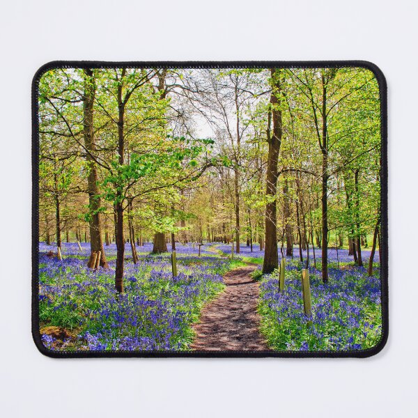 Artikel-Vorschau von Bluebell Woods Graues Gericht Oxfordshire England UK, designt und verkauft von AndyEvansPhotos.