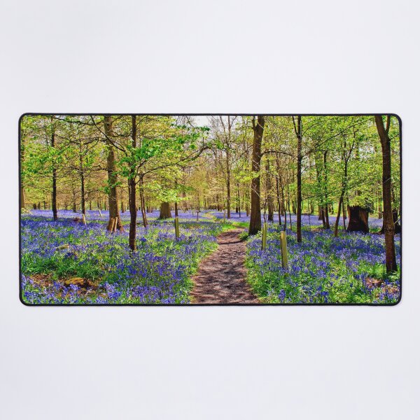 Artikel-Vorschau von Bluebell Woods Graues Gericht Oxfordshire England UK, designt und verkauft von AndyEvansPhotos.