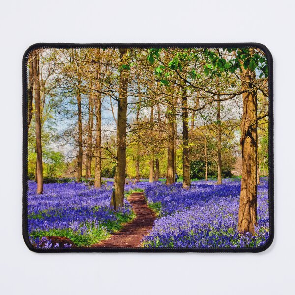 Item preview, Bluebell Woods Greys Court Oxfordshire England UK designed and sold by AndyEvansPhotos.