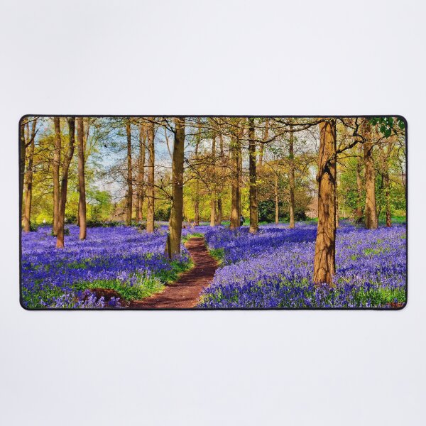 Item preview, Bluebell Woods Greys Court Oxfordshire England UK designed and sold by AndyEvansPhotos.