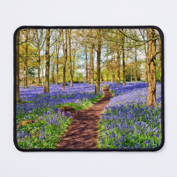 Item preview, Bluebell Woods Greys Court Oxfordshire England UK designed and sold by AndyEvansPhotos.