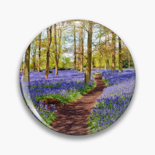 Item preview, Bluebell Woods Greys Court Oxfordshire England UK designed and sold by AndyEvansPhotos.