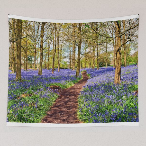 Item preview, Bluebell Woods Greys Court Oxfordshire England UK designed and sold by AndyEvansPhotos.