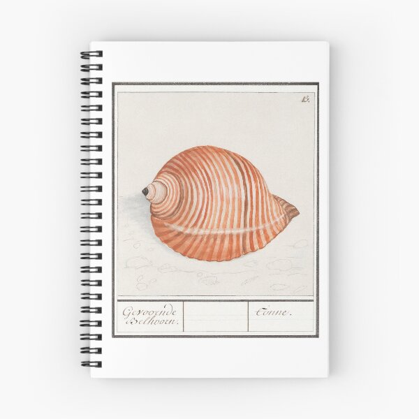 Item preview, Vintage Pastel Orange/Peach Sea Snail Watercolour Illustration | P262 designed and sold by Piccolo Fiore Prints.