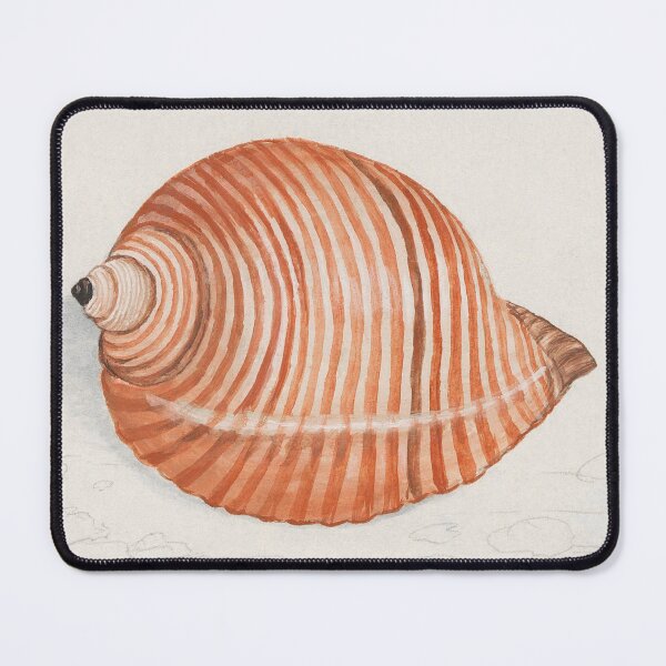 Item preview, Vintage Pastel Orange/Peach Sea Snail Watercolour Illustration | P262 designed and sold by Piccolo Fiore Prints.