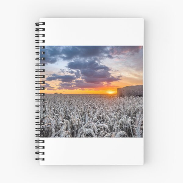 Item preview, Pillbox at Barmston near Bridlington sunset designed and sold by Anthony Hiorns.