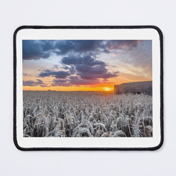 Item preview, Pillbox at Barmston near Bridlington sunset designed and sold by Anthony Hiorns.