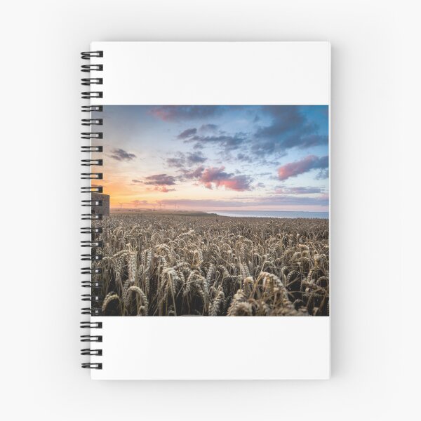 Item preview, Barmston Beach sunset near Bridlington designed and sold by Anthony Hiorns.