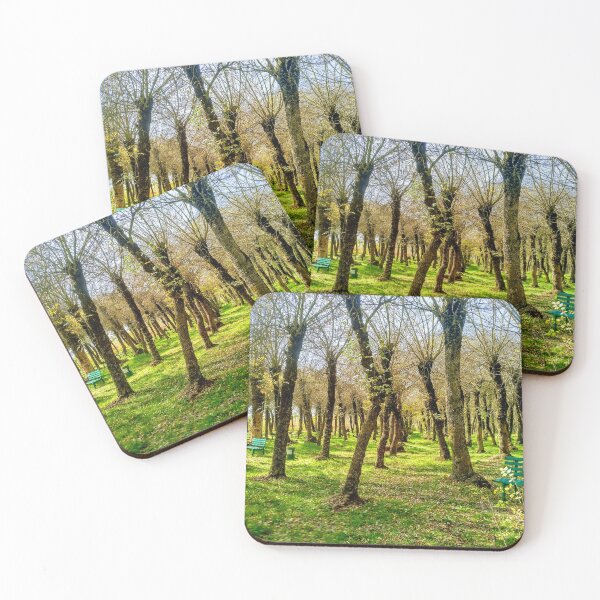 Item preview, Forest Trees in Fall designed and sold by Parallax Grafica.