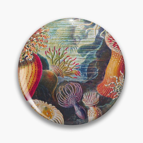 Artikelvorschau, Ernst Haeckel | Actiniae–Seeanemonen aus Kunstformen der Natur (1904) entworfen und verkauft von BossyCatHome.