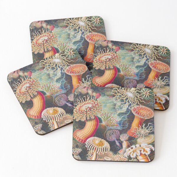 Item preview, Ernst Haeckel | Actiniae–Seeanemonen from Kunstformen der Natur (1904) designed and sold by BossyCatHome.