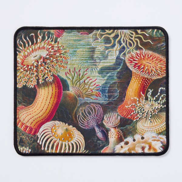 Item preview, Ernst Haeckel | Actiniae–Seeanemonen from Kunstformen der Natur (1904) designed and sold by BossyCatHome.