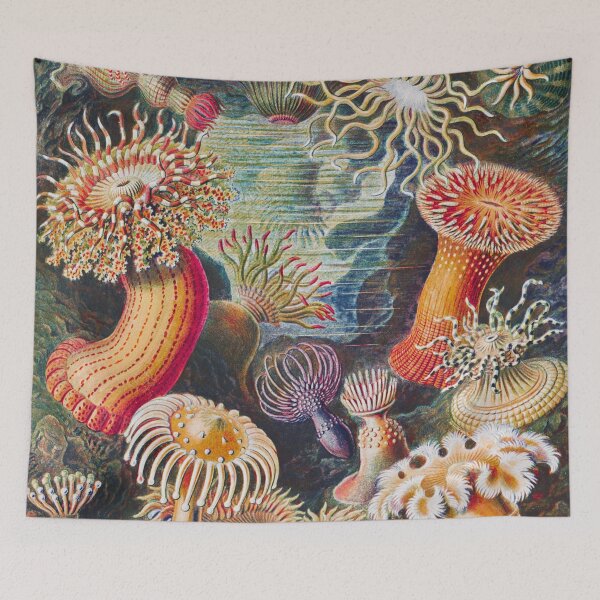 Item preview, Ernst Haeckel | Actiniae–Seeanemonen from Kunstformen der Natur (1904) designed and sold by BossyCatHome.