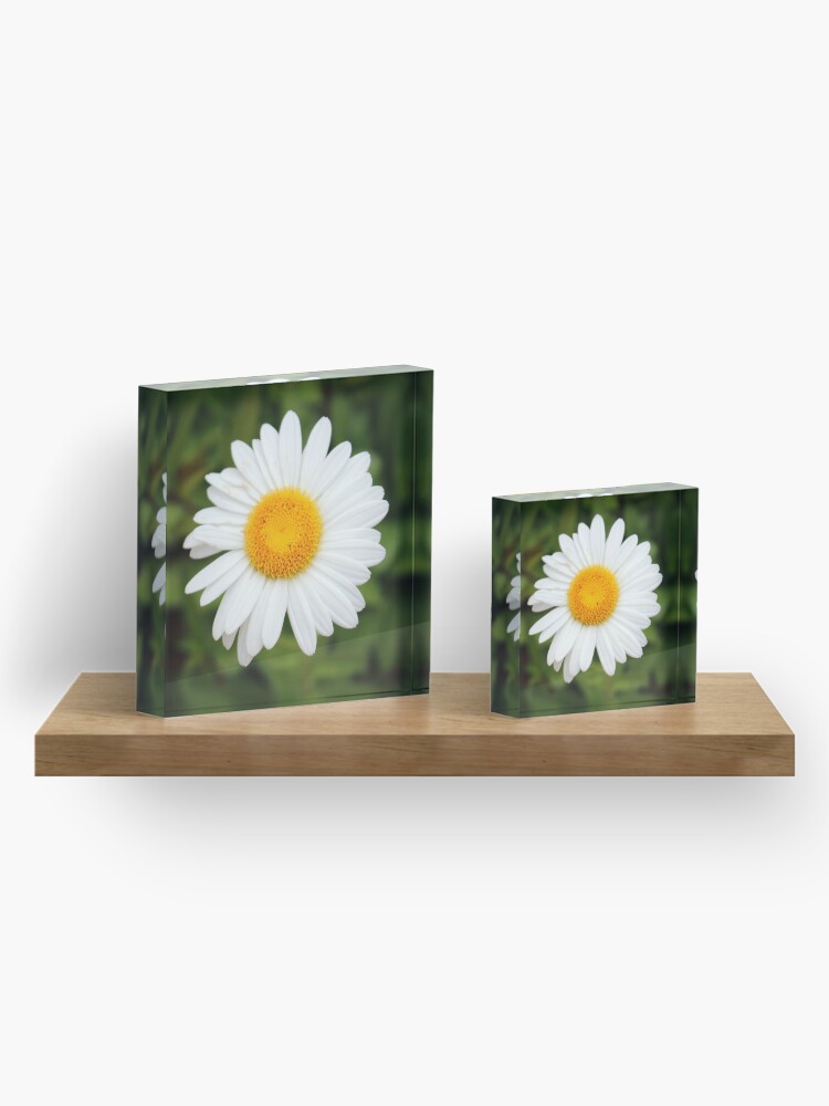 Alternate view of One White Daisy Acrylic Block