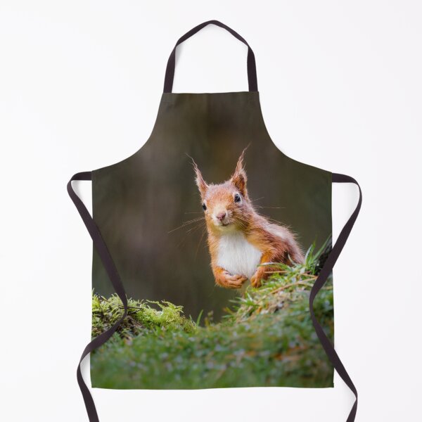 Item preview, Curious Red Squirrel  designed and sold by Alec Stewart.