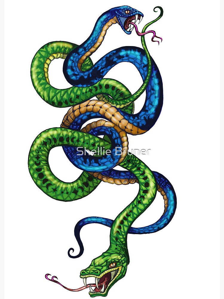 Beehive95Designs Serpentes Snake Species Varieties ID T-Shirt, Reptile Serpent Tee, Snake Lover Gift, Nature Wildlife Graphic Tee, Exotic Jungle