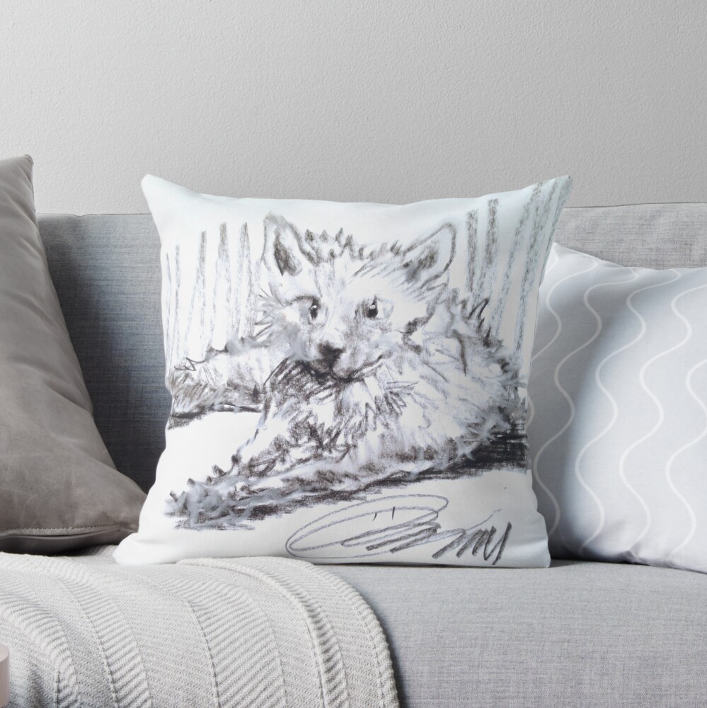 Coussin « 1001TiTEFACE-19 Zaf ÖMiserany® 2014 »