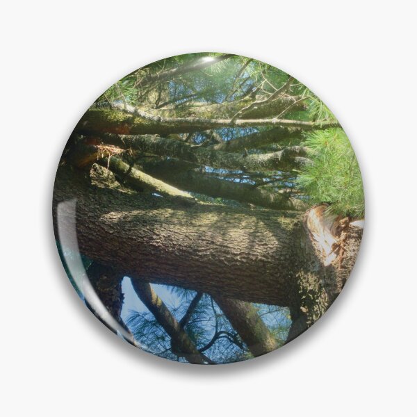 Item preview, Horizontal Pine Tree designed and sold by Shulie1.