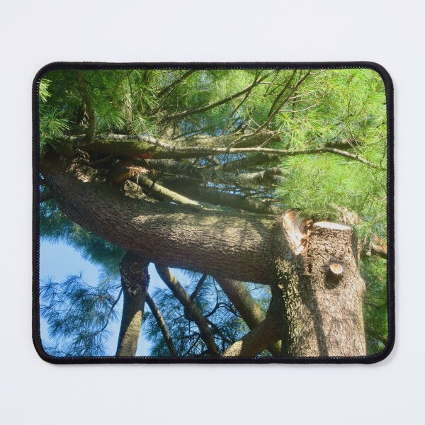 Item preview, Horizontal Pine Tree designed and sold by Shulie1.