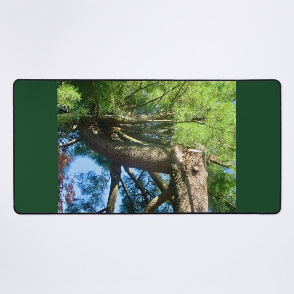 Item preview, Horizontal Pine Tree designed and sold by Shulie1.