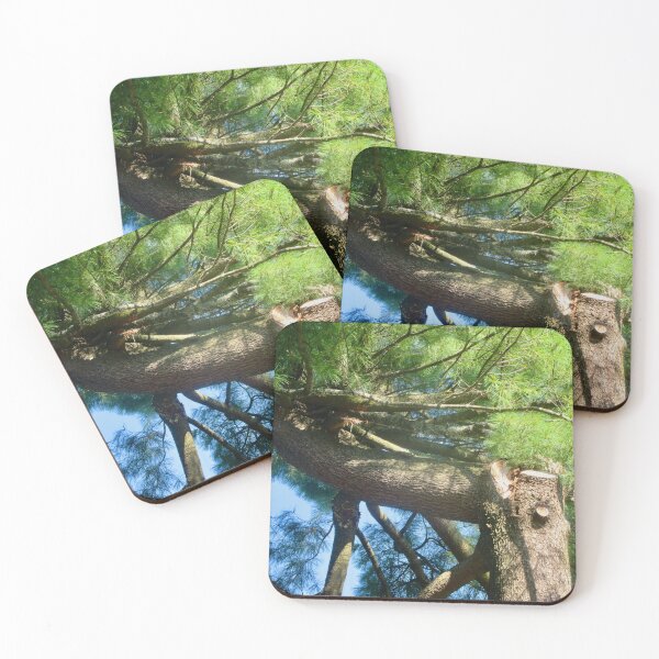 Item preview, Horizontal Pine Tree designed and sold by Shulie1.
