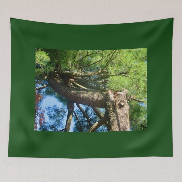 Item preview, Horizontal Pine Tree designed and sold by Shulie1.
