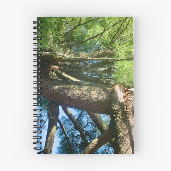 Item preview, Horizontal Pine Tree designed and sold by Shulie1.