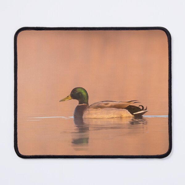 Item preview, Mallard at Sunrise designed and sold by Alec Stewart.