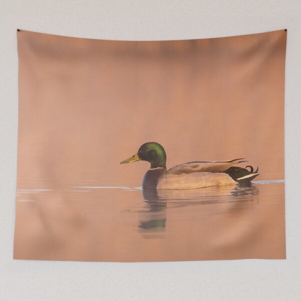 Item preview, Mallard at Sunrise designed and sold by Alec Stewart.