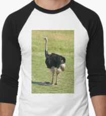 Strauß Baseballshirt mit 3/4-Arm