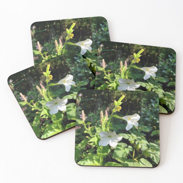 Item preview, Ornamental tobacco in the garden designed and sold by Gourmetkater.