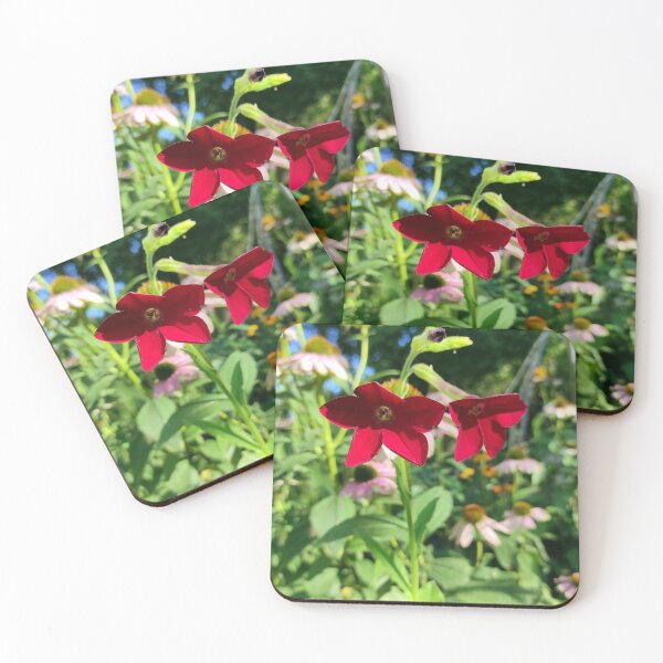 Item preview, Ornamental tobacco with red flowers designed and sold by Gourmetkater.