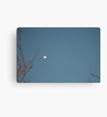 Tree Limb Moon Canvas Print