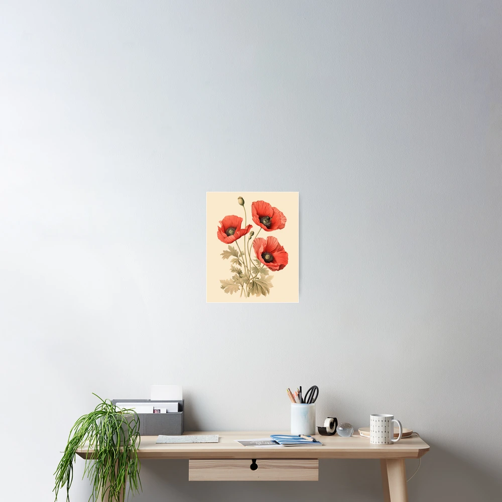 A Botanical Illustration of a Poppy Flower