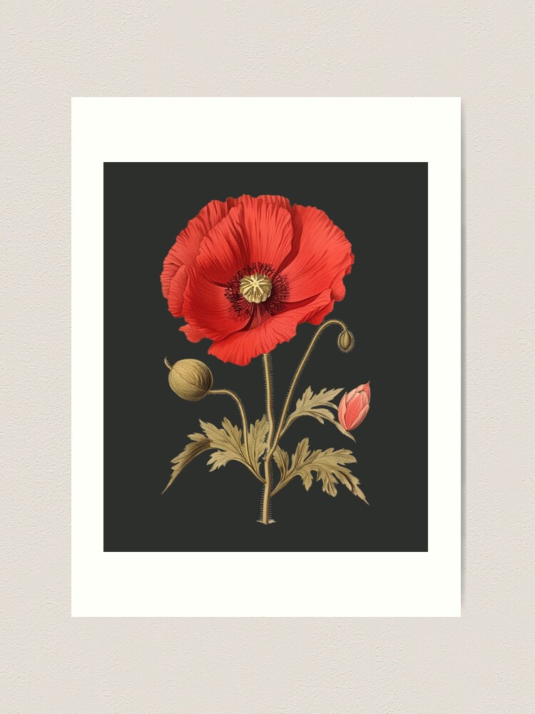 トップス POPPY DRAWING FLOWER PRINT SWEATSHIRT Vintage Poppy Sweatshirt