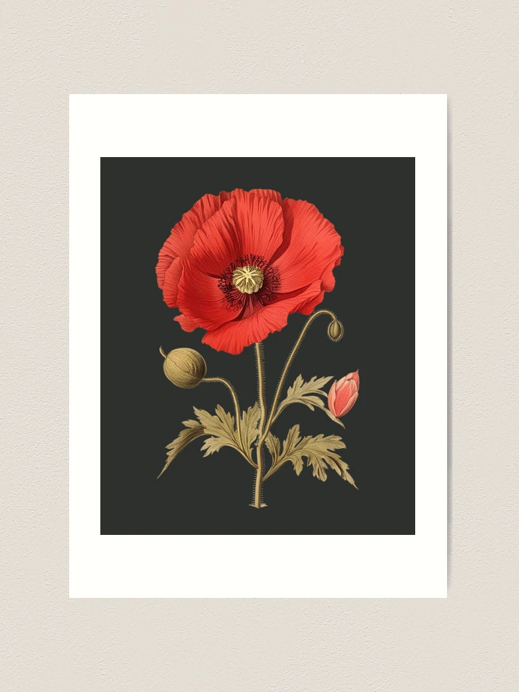トップス POPPY DRAWING FLOWER PRINT SWEATSHIRT California Poppy Crewneck Sweatshirt – LA Plant Club