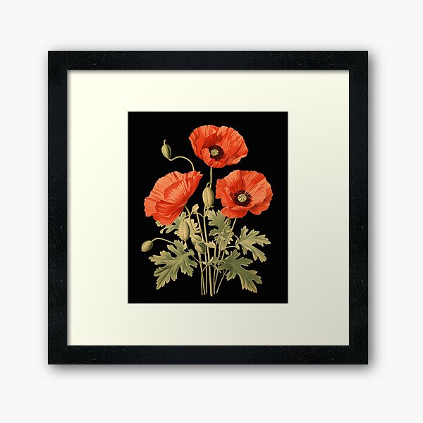 Item preview, A Botanical Illustration of a Poppy Flower designed and sold by Sketch-Shack.