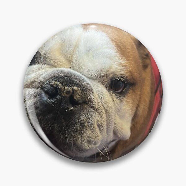 Item preview, Chubbs designed and sold by rzlatssunrise.