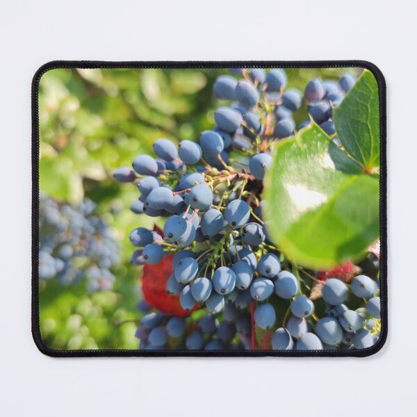 Item preview, Oregon grape berries designed and sold by tshuki.