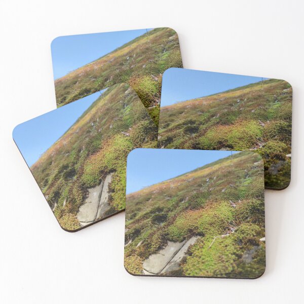 Item preview, Moss overgrown roof so very common here designed and sold by tshuki.