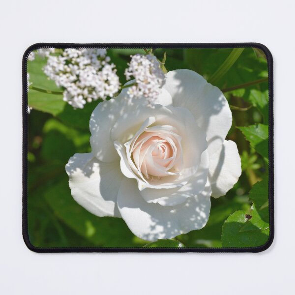 Item preview, White rose designed and sold by CatherineMoore4.